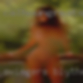 Swingers Blytheville