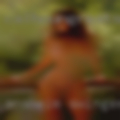 Anaheim swingers